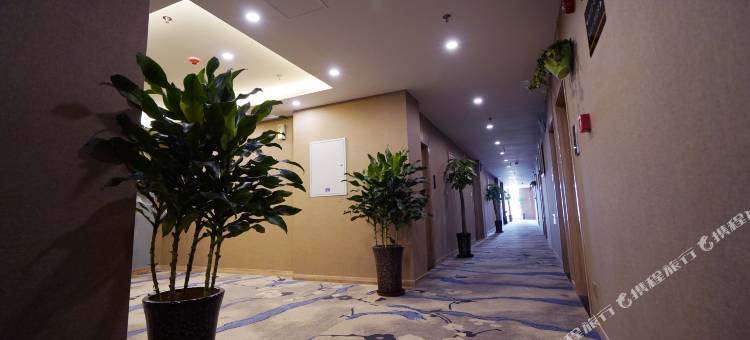 速8酒店(滨湖印象邦泰科技城店)图片