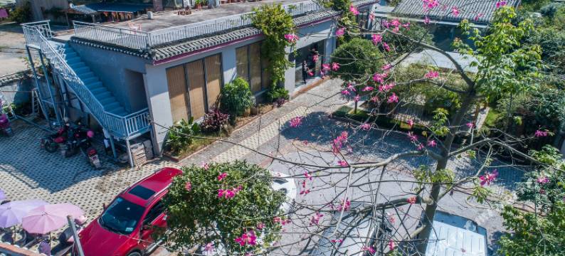 阳朔菁雲阁民宿(遇龙河十里画廊景区店)图片