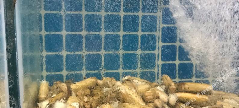 日照富海渔家旅馆图片