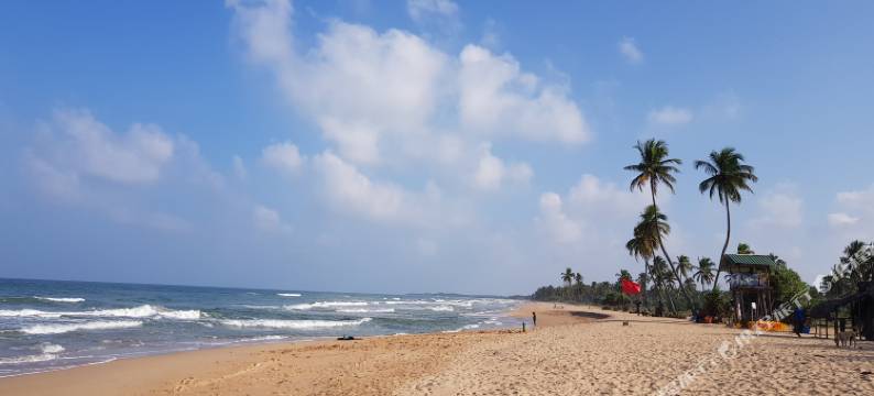 Casamia Oceanfront Condo Nilaveli图片