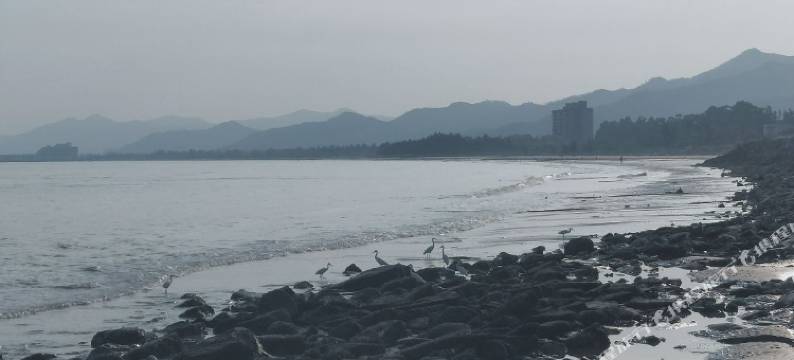 海丰海虹民宿图片