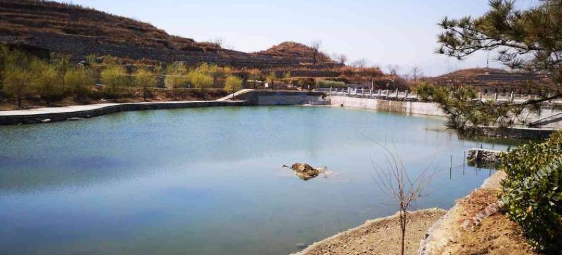 林州森淼鱻生态庄园图片