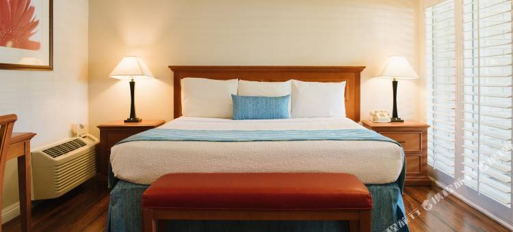 阿拉莫会展中心套房酒店(Alamo Inn and Suites - Convention Center)图片