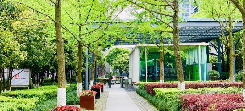 杭州黄龙银马之家公寓图片