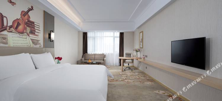 维也纳酒店(太和百太星马国际店)图片