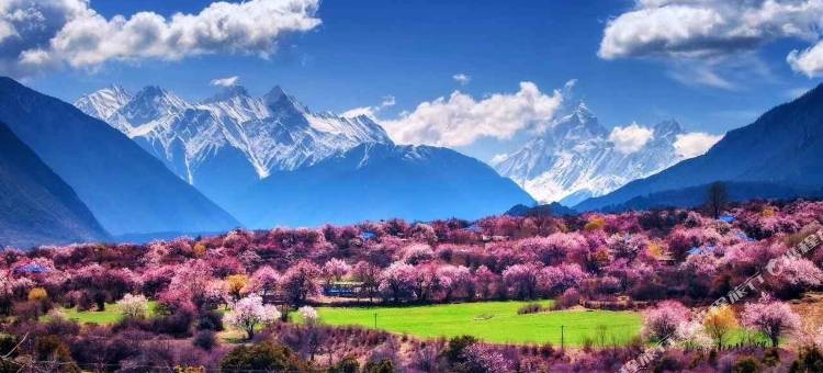 德钦小愉驿栈图片