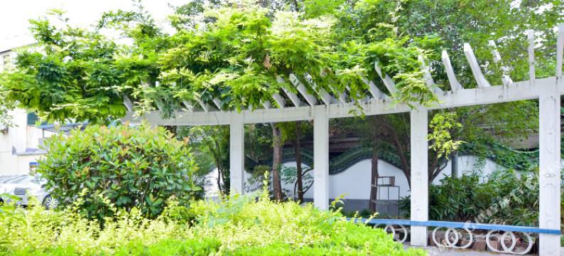 涡阳种鑫宾馆图片