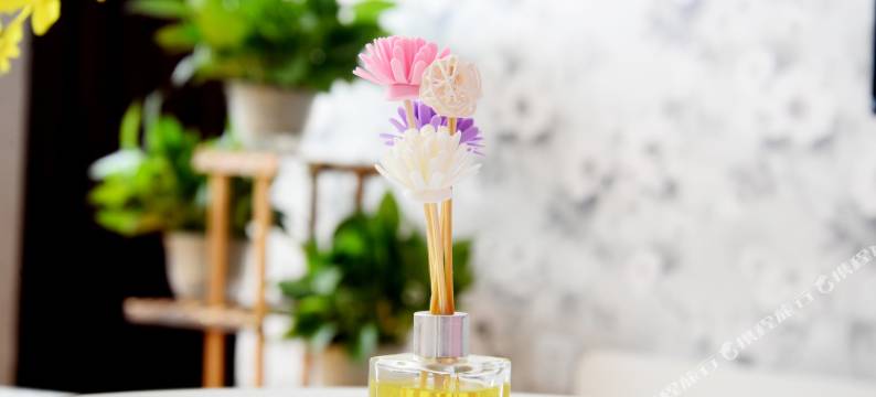 固安新机场民宿(5号店)图片