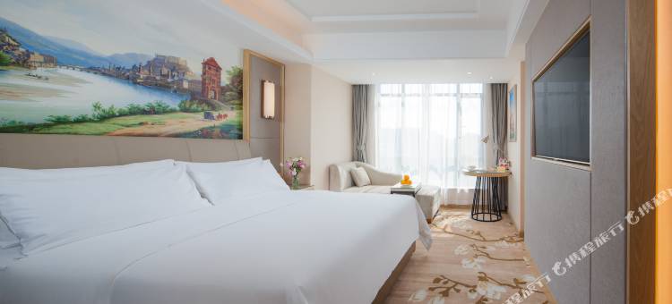 维也纳酒店(赣州南康区中心店)图片