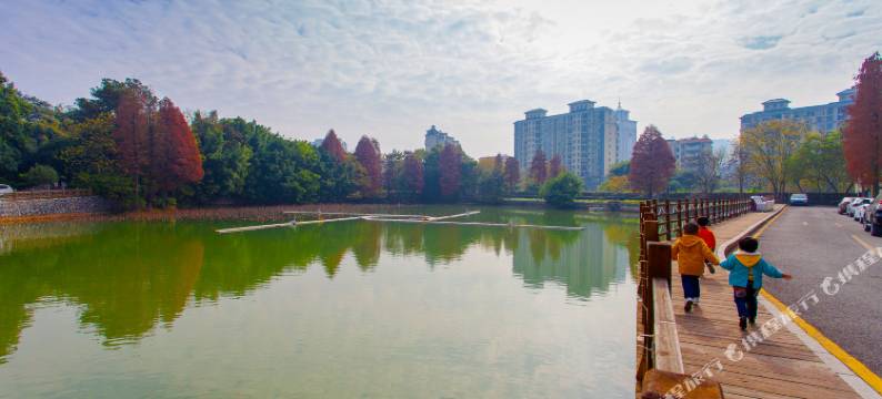 韶关荷花园酒店图片