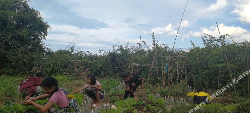 元阳路晟阳光客栈图片