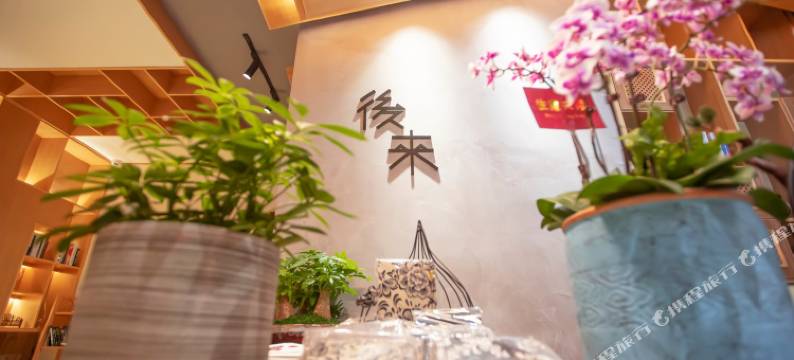 乌镇後来民宿图片