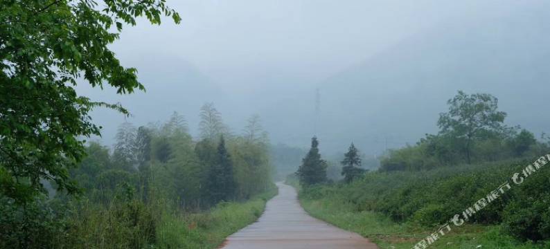 宜兴紫茗居别墅图片