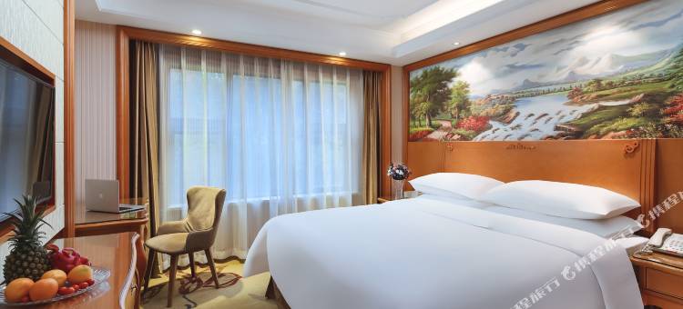 维也纳国际酒店(南京南站中心店)图片