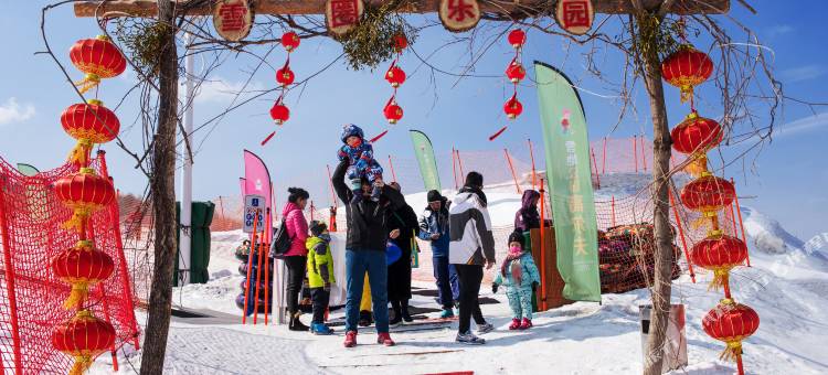枫林晚别墅(吉林松花湖度假区滑雪场店)图片