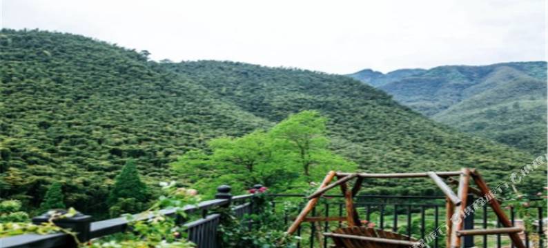 湖州竹源民宿(竹海滑车-入口分店)图片