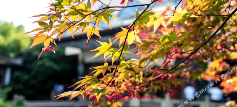苏州冠云大酒店图片