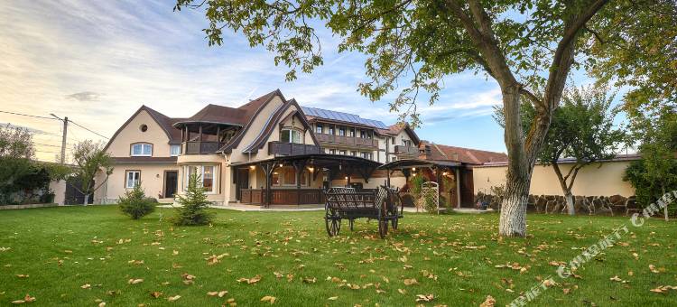 蔻娜奇奥安比恩特度假酒店(Conacul Ambient)图片