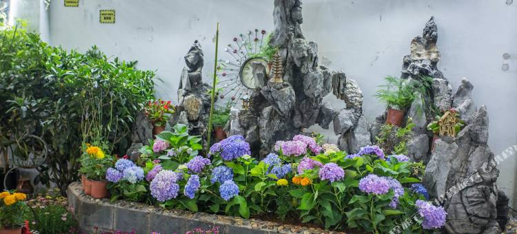 丽江古城自然醒客栈(忠义市场店)图片