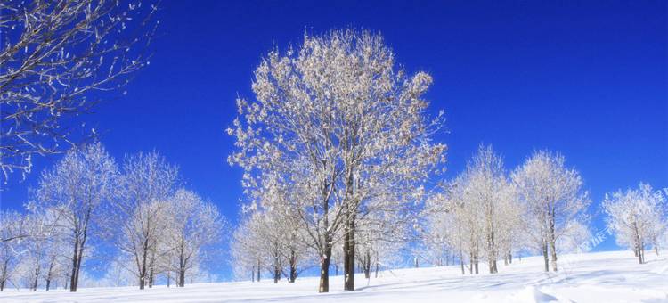 雪乡童话小院(雪韵大街店)图片