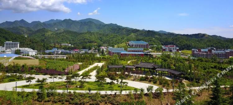 淮阳天鸿雅悦酒店图片