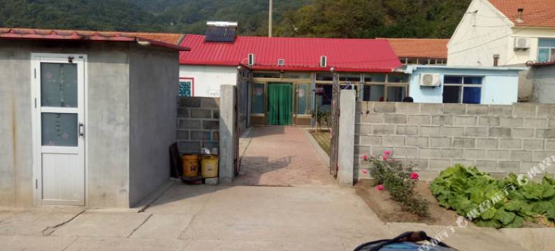 东港不差钱民宿图片