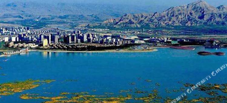 乌海巨海酒店图片