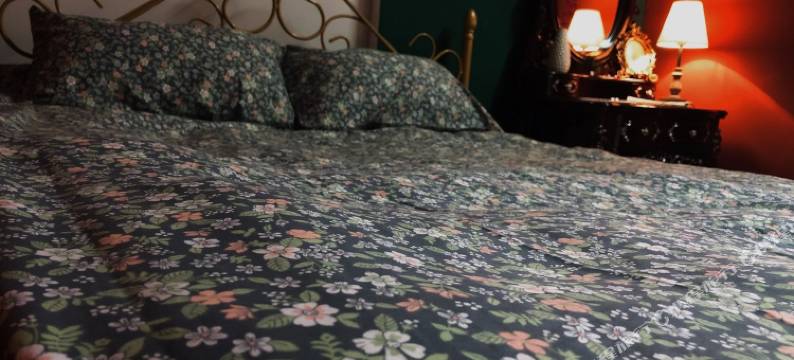 泉州一帘幽梦治愈系客栈(三朝巷分店)图片