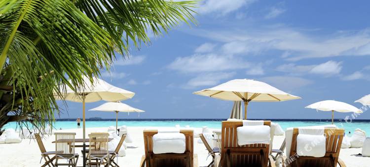 马尔代夫罗宾逊 - 限成人- 全包式(Robinson Maldives - All Inclusive, Adults Only)图片