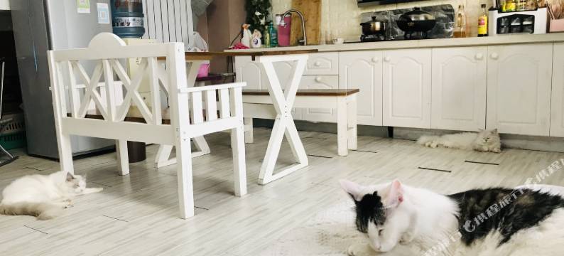 济南DIY青年公寓图片