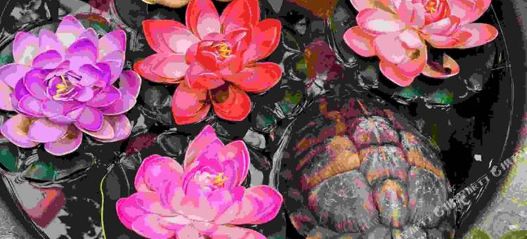 越野e族·殊胜巷子里民宿(八廓街大昭寺店)图片