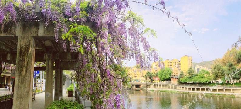遂昌久宿文化酒店图片