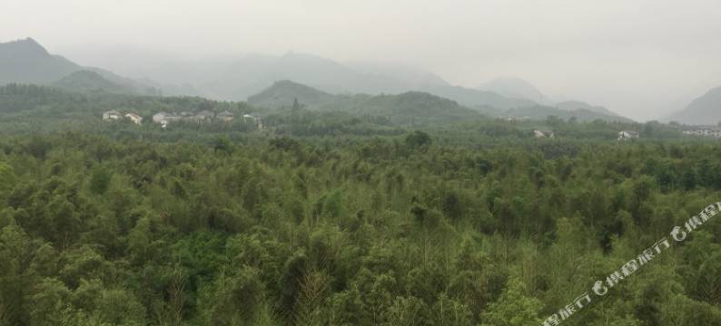 杭州因为爱情主题酒店图片