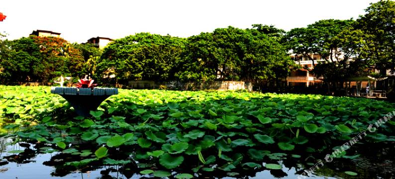 海南凯威大酒店图片