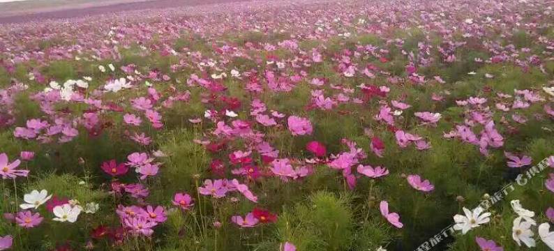 东戴河欢乐颂海景公寓图片