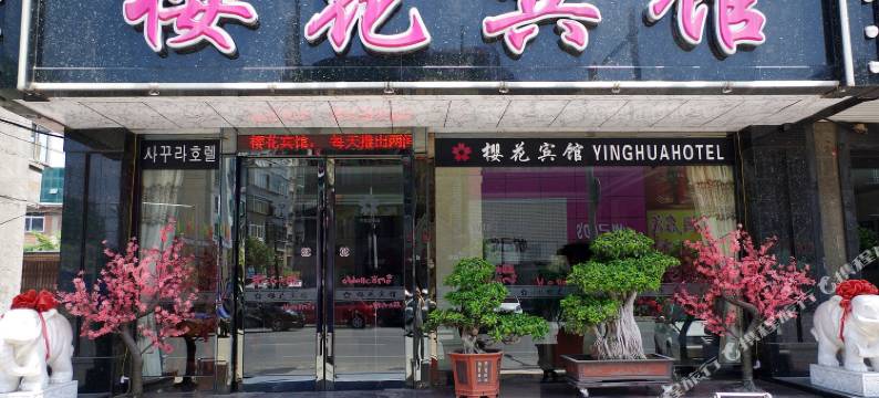 东港樱花宾馆图片