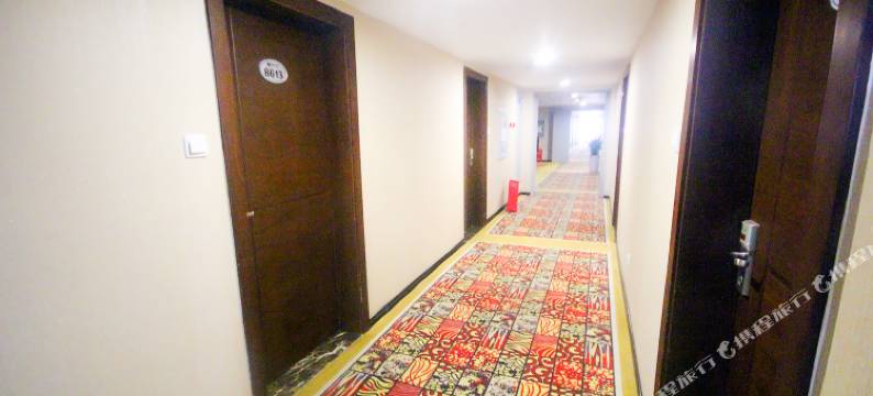 成都瑞嘉大酒店(双流国际机场时代奥特莱斯店)图片