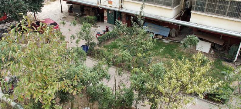 滕州碧桂园宾馆图片