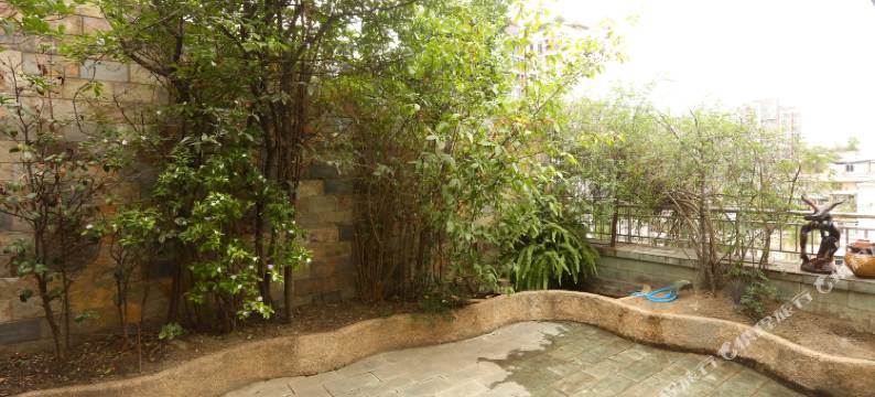 成都紫藤1号青年公寓图片