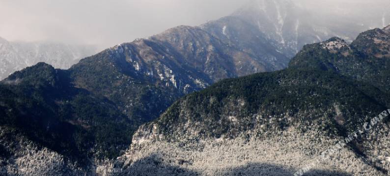 大理提拉米苏客栈(古城东门店)图片
