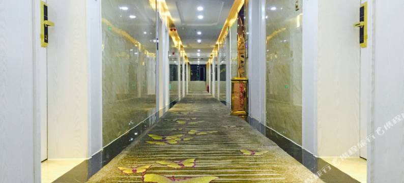 和政铂金酒店图片