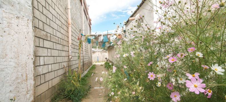 拉萨灿烂千阳客栈(八廓街店)图片