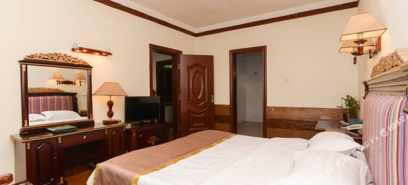 帝人酒店(拉萨布达拉宫店)图片