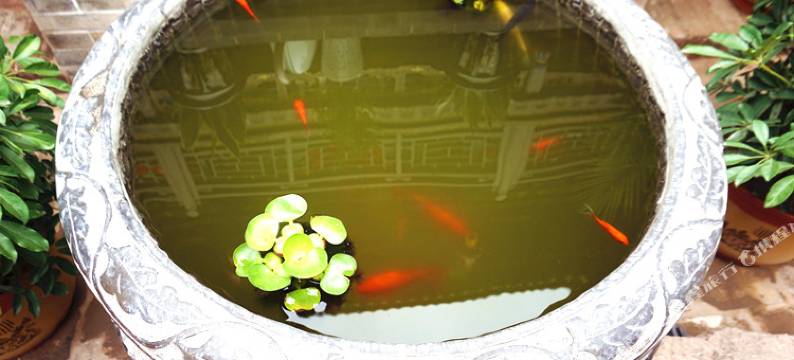 亲的客栈(平遥励进斋精品店)图片