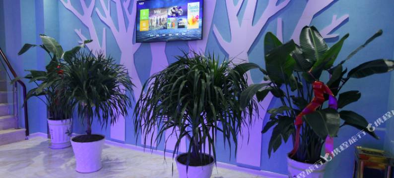 砀山苹果一号酒店(梨花广场店)图片