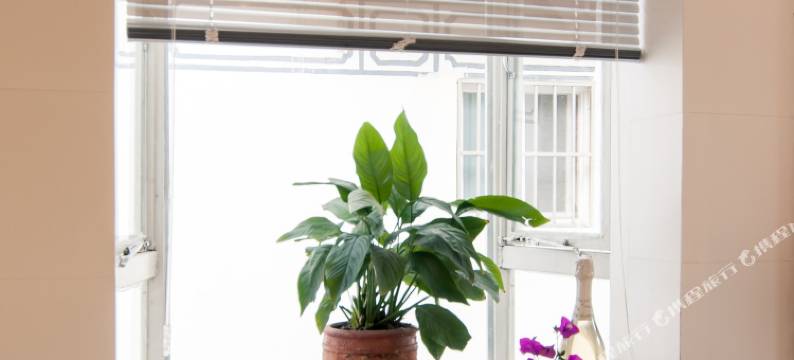 清藏客栈(大理古城店)图片