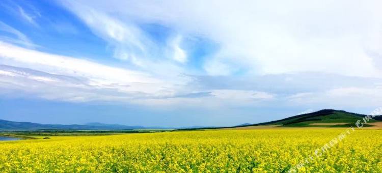 额尔古纳嘟丽思哆玛酒店图片