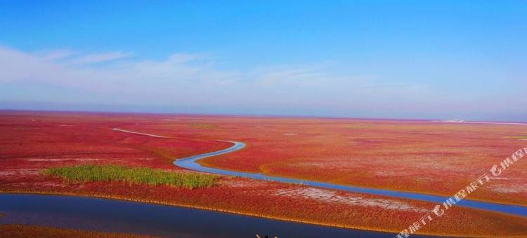蓝海大饭店(东营东城府前大街店)图片