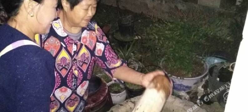 桐庐田园之家客栈图片