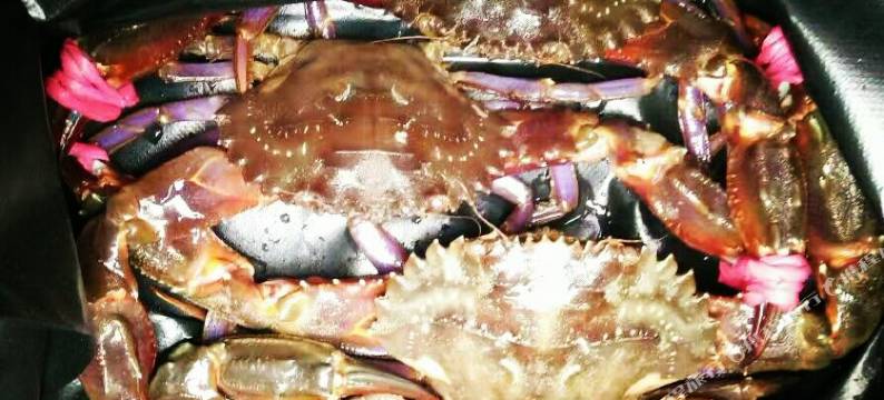 日照吴家台客来香民宿图片